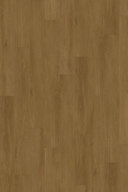 Caramel Oak