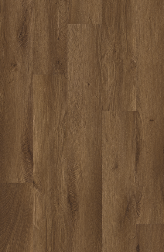 Balanced Oak