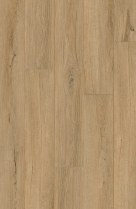 Comfort Enhanced in Avondale Oak