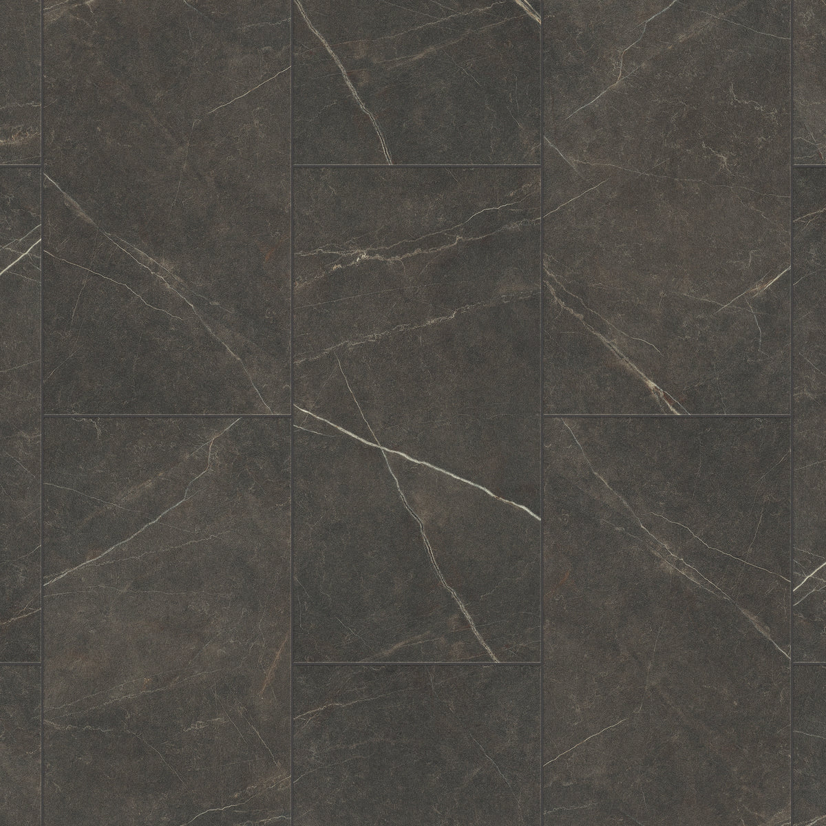 kinopi☆ CF0503_Marquina_Nero_EBD_566_S
