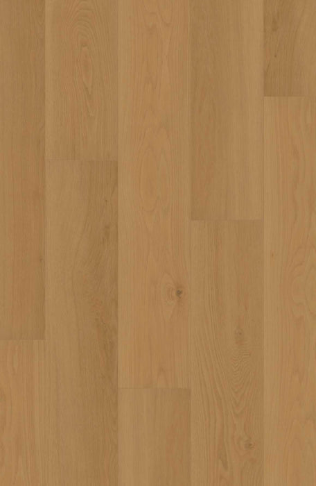 Comfort Enhanced NE+ in Daybreak Oak