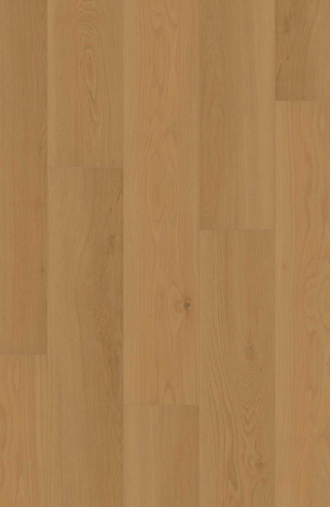 Comfort Enhanced NE+ in Daybreak Oak