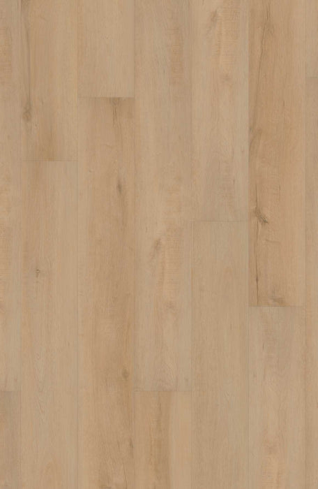 Comfort NE+ in Frontier Oak