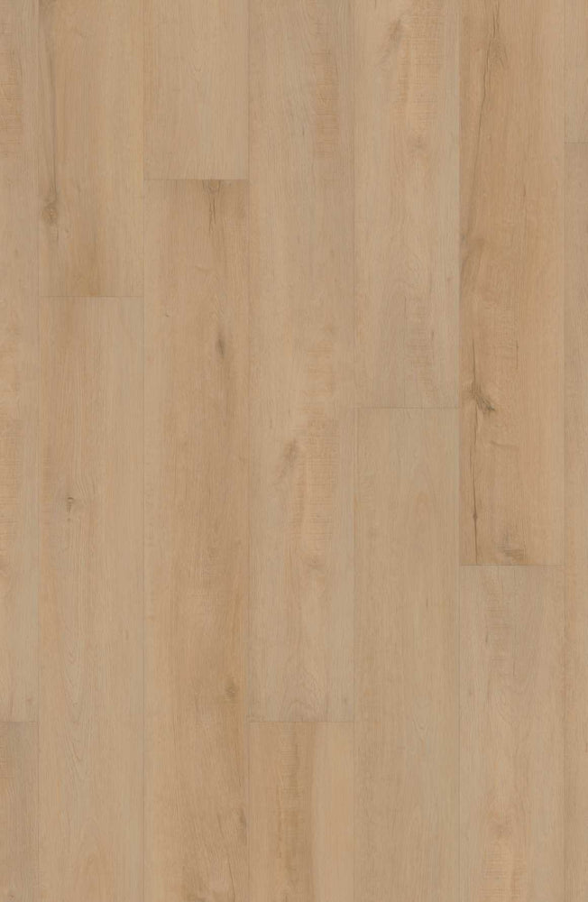 Comfort NE+ in Frontier Oak