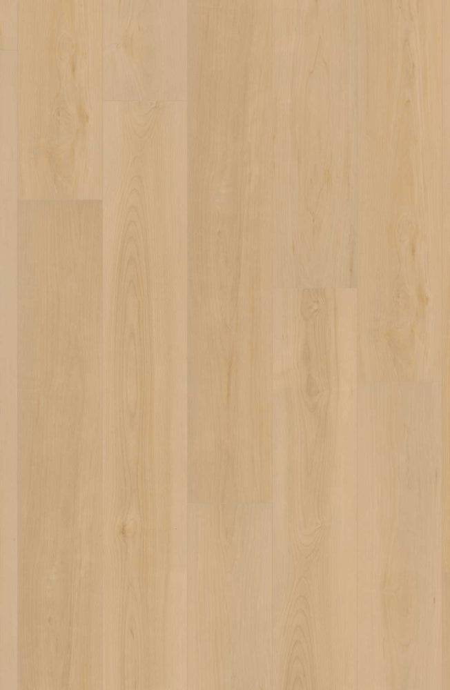 Comfort in Geneva Maple