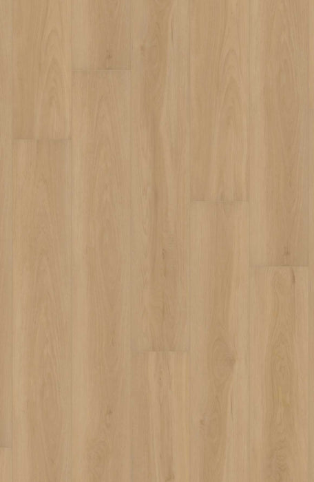 Comfort in Homestead Hickory