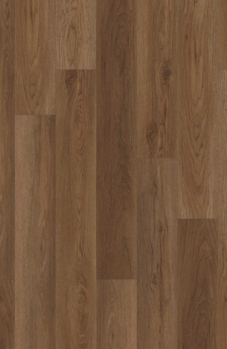 Comfort NE+ in Magnolia Oak