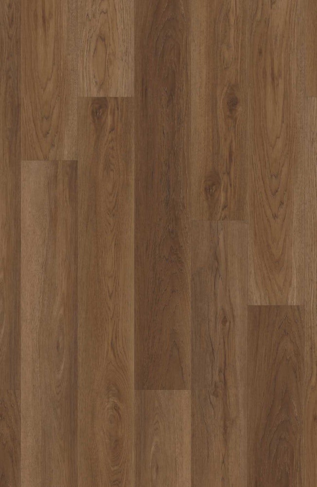 Comfort NE+ in Magnolia Oak