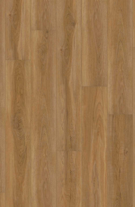 Comfort in Outpost Hickory