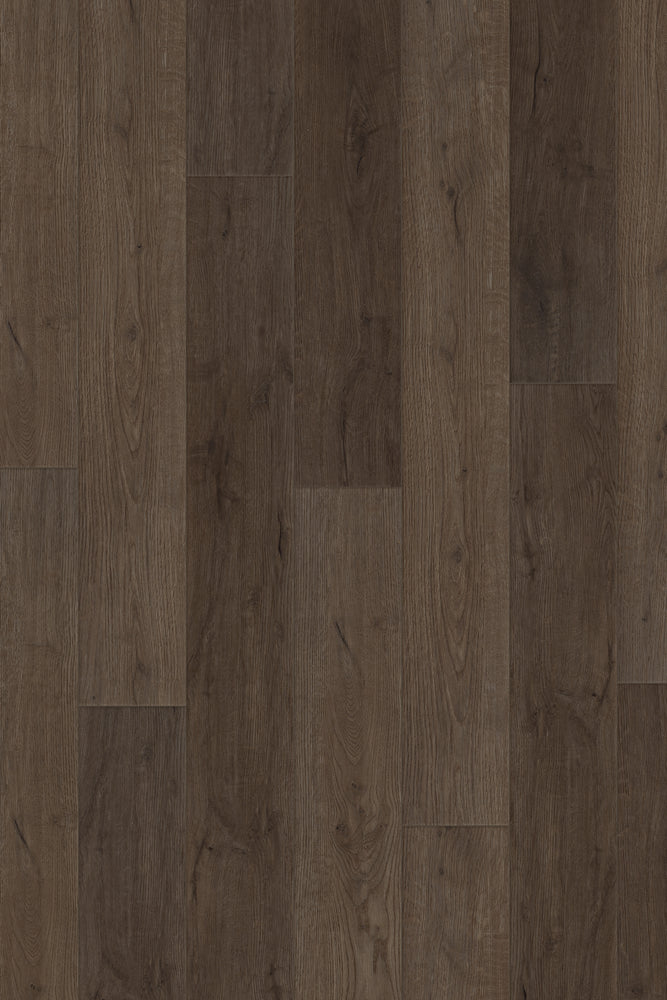Comfort in Moonlight Oak Luxury Vinyl by Canopy Floors 