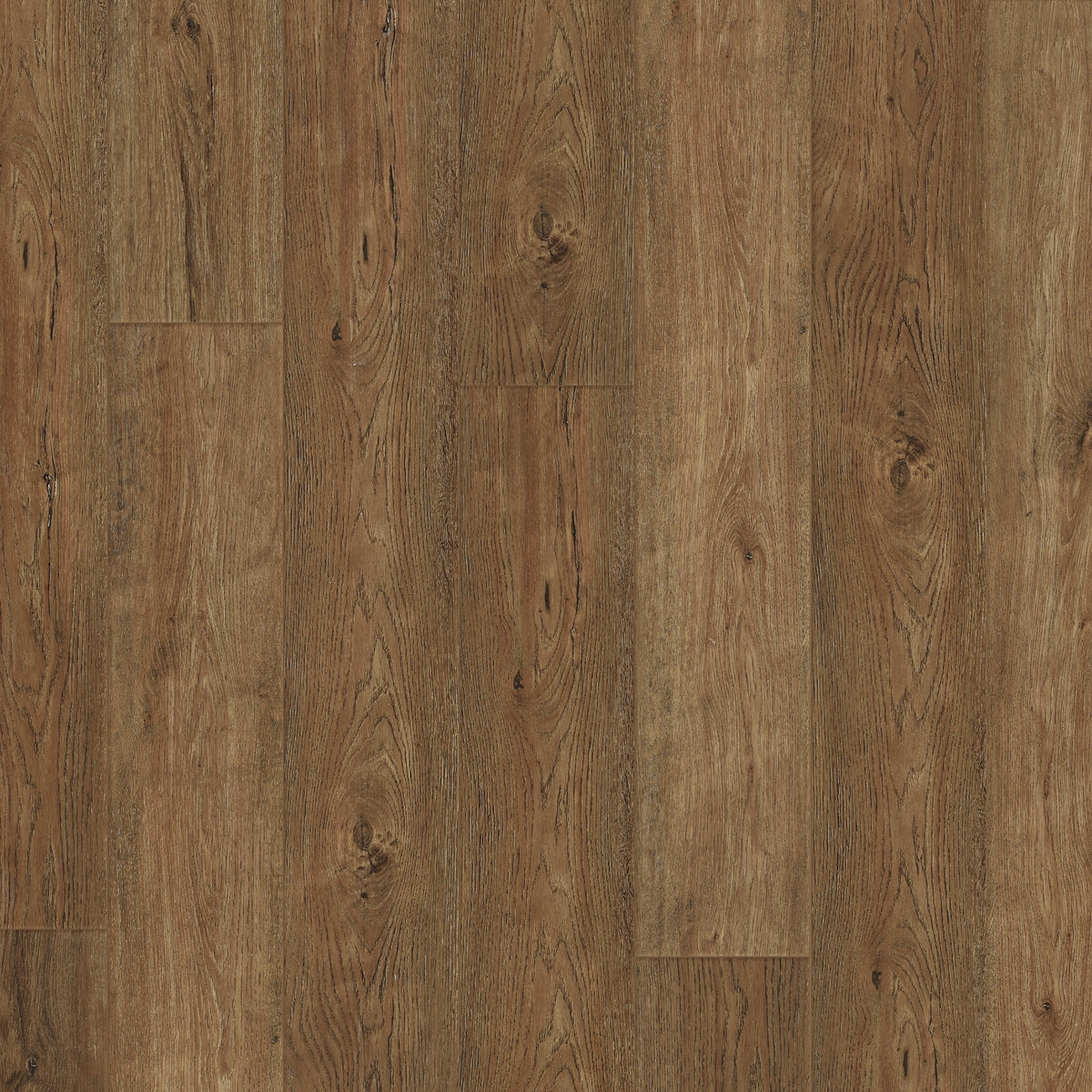 WP0860_00002_BaseCampHickory_S