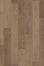 Comfort in Reverie Oak Luxury Vinyl by Canopy Floors