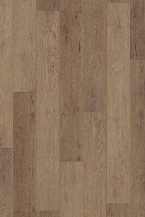 Comfort in Reverie Oak Luxury Vinyl by Canopy Floors