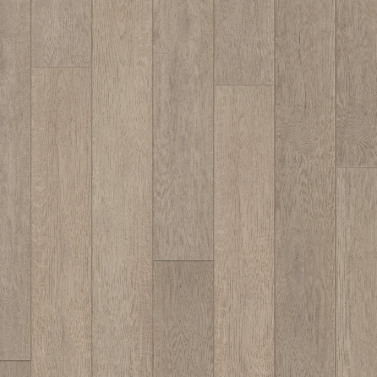 Comfort in Misty Oak Luxury Vinyl | Canopy Floors