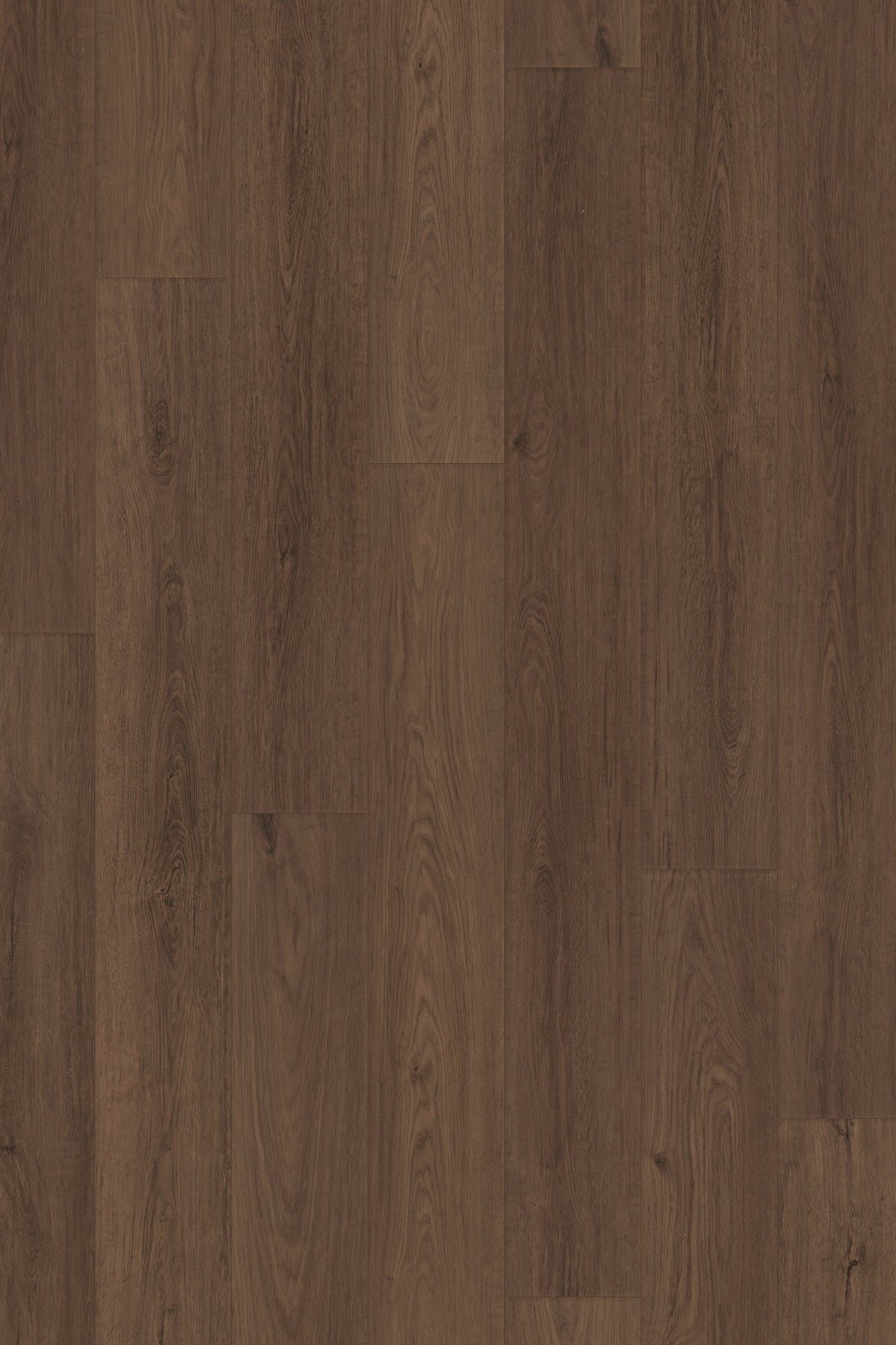 Comfort NE in Cocoa Oak Luxury Vinyl | Canopy Floors