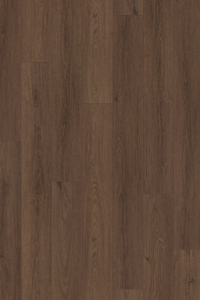 Comfort NE in Cocoa Oak Luxury Vinyl by Canopy Floors 