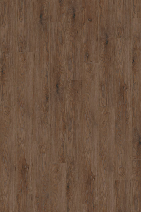 Comfort in Hearth Oak Luxury Vinyl by Canopy Floors