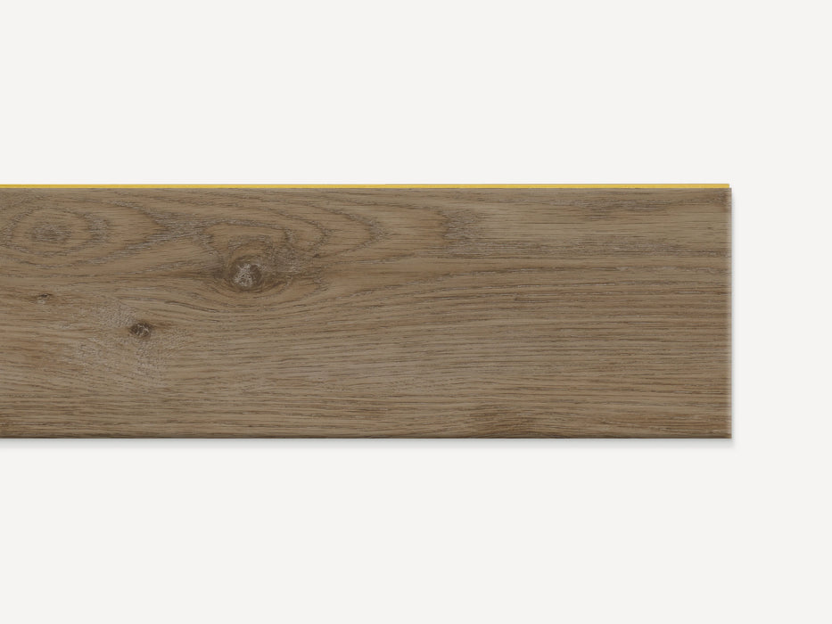 Cashew Oak