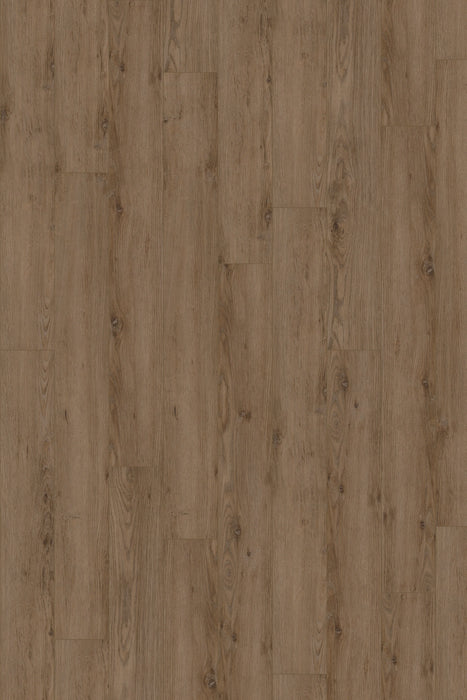 Comfort in Cashew Oak Luxury Vinyl by Canopy Floors