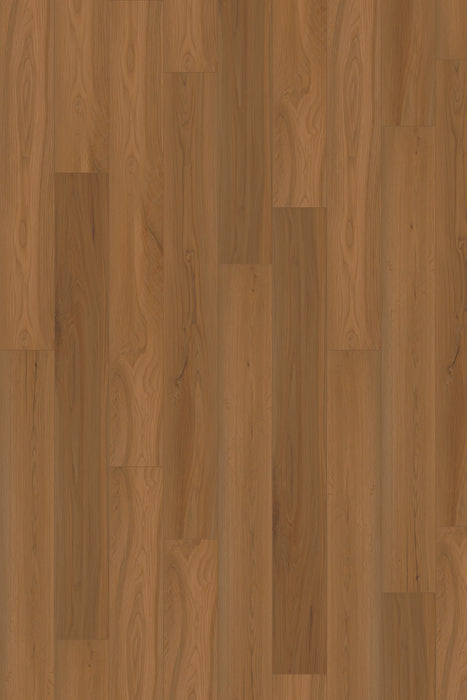 Comfort in Ember Oak Luxury Vinyl by Canopy Floors