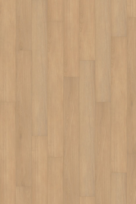 Comfort in Ivory Oak Luxury Vinyl by Canopy Floors
