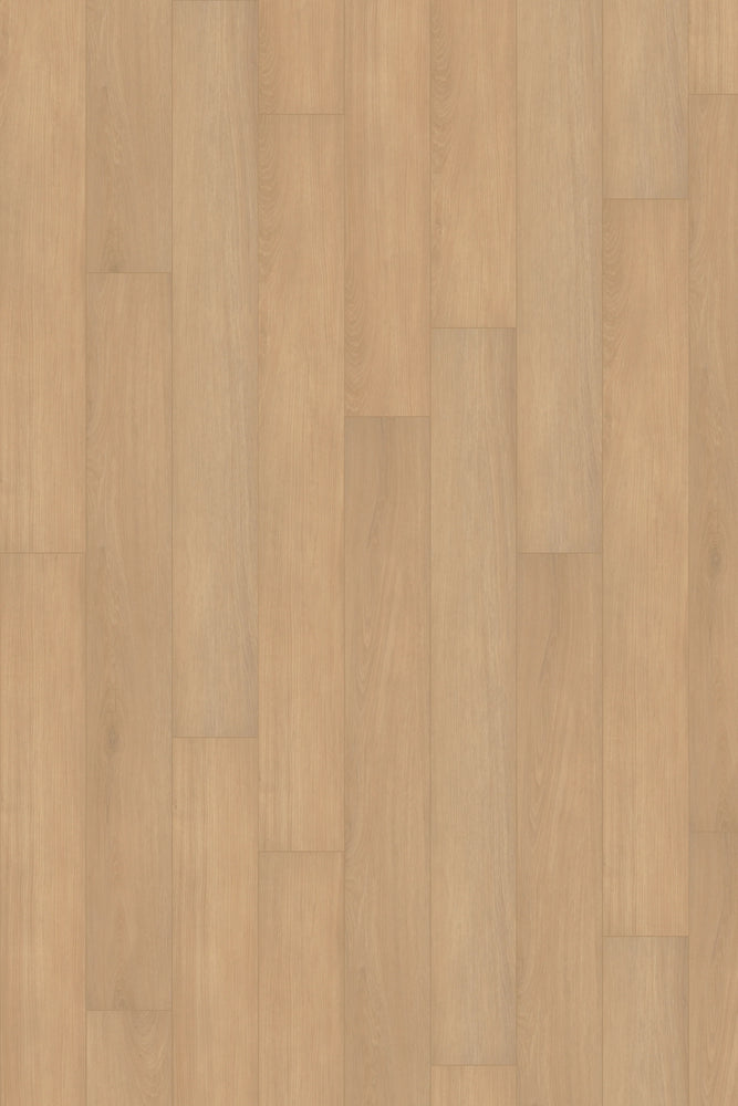 Comfort in Ivory Oak Luxury Vinyl by Canopy Floors 