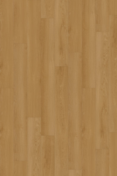 Comfort in Dawn Oak Luxury Vinyl by Canopy Floors 