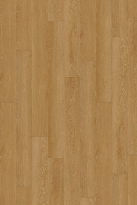 Comfort in Dawn Oak Luxury Vinyl by Canopy Floors