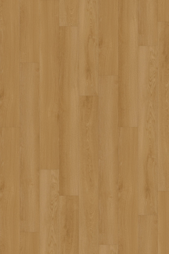 Comfort in Dawn Oak Luxury Vinyl by Canopy Floors 