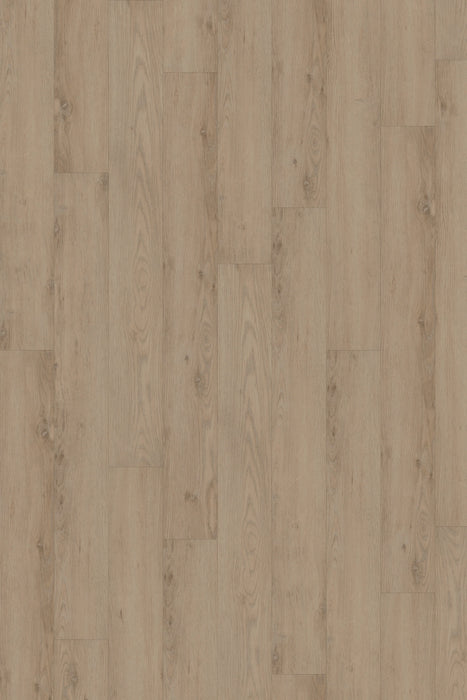 Comfort in Sterling Oak Luxury Vinyl by Canopy Floors