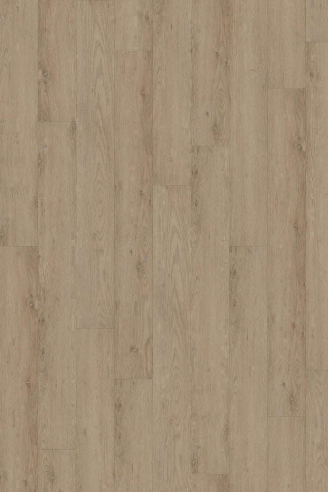 Comfort in Sterling Oak Luxury Vinyl by Canopy Floors 