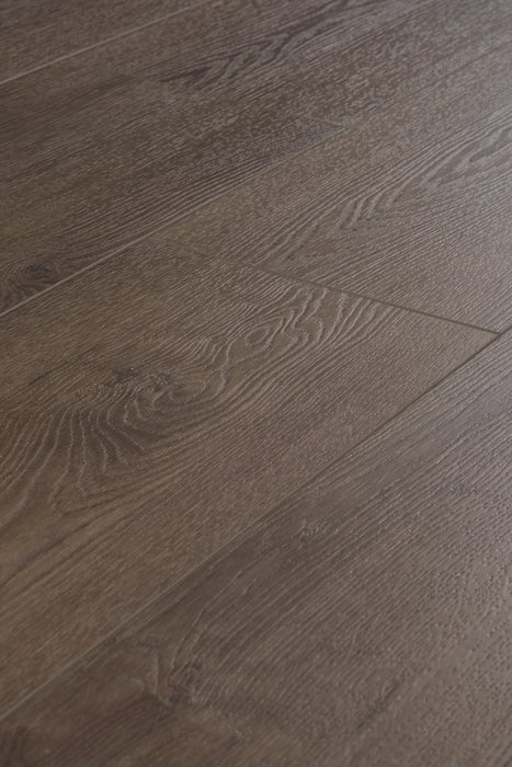 Coffee Oak