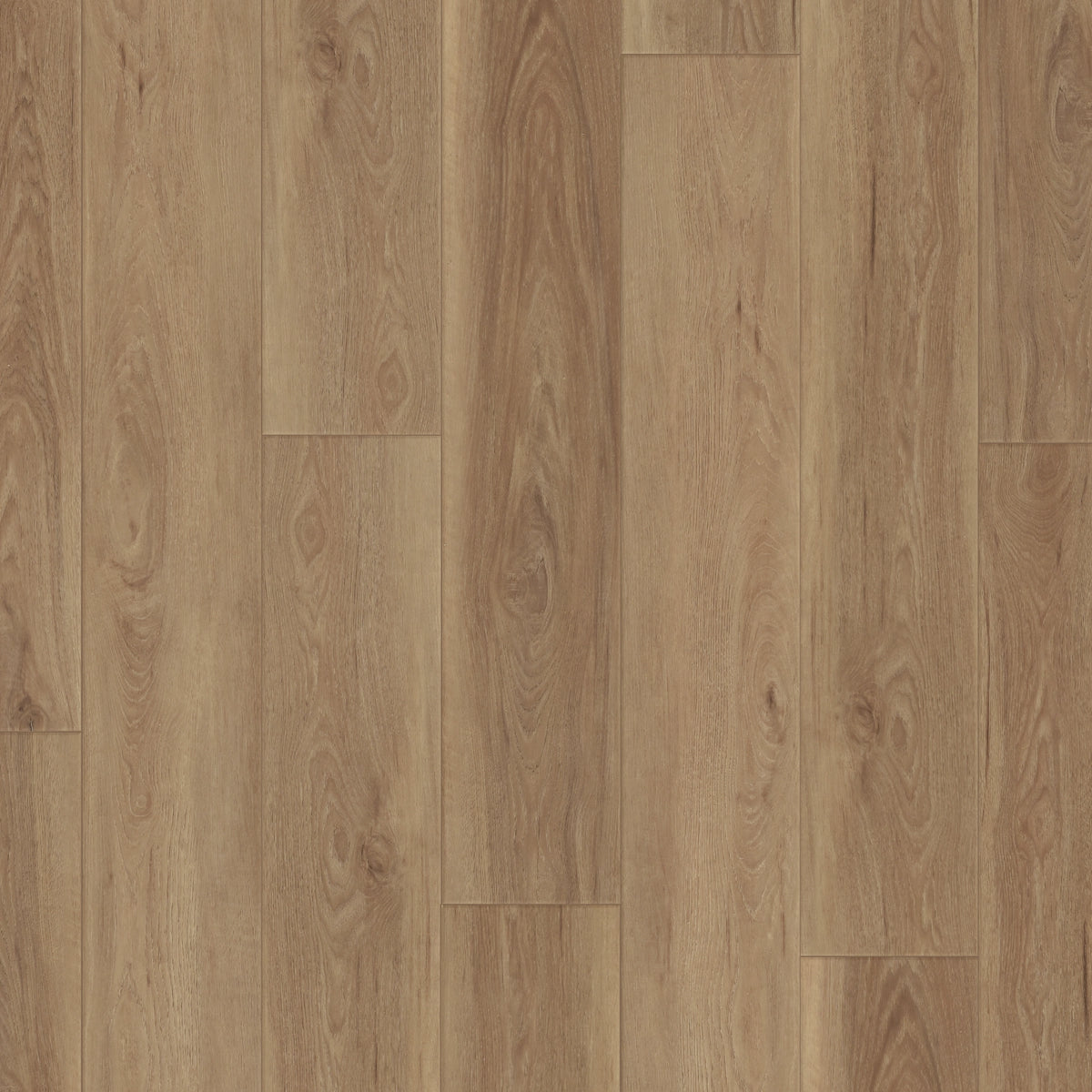 WP1272_00006_CreeksideWalnut_R