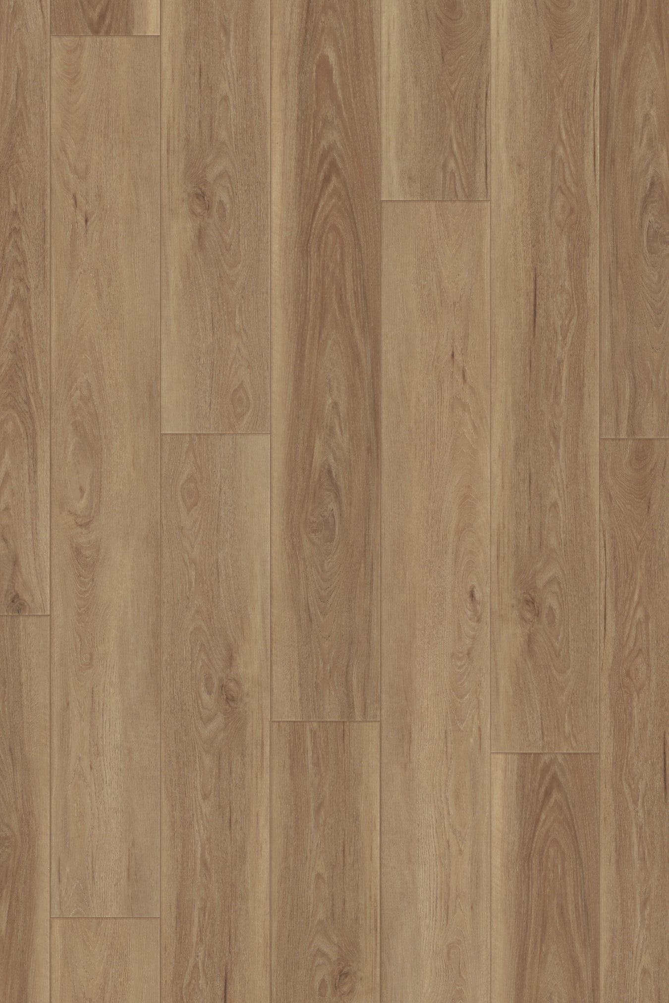 Clean Rustic
