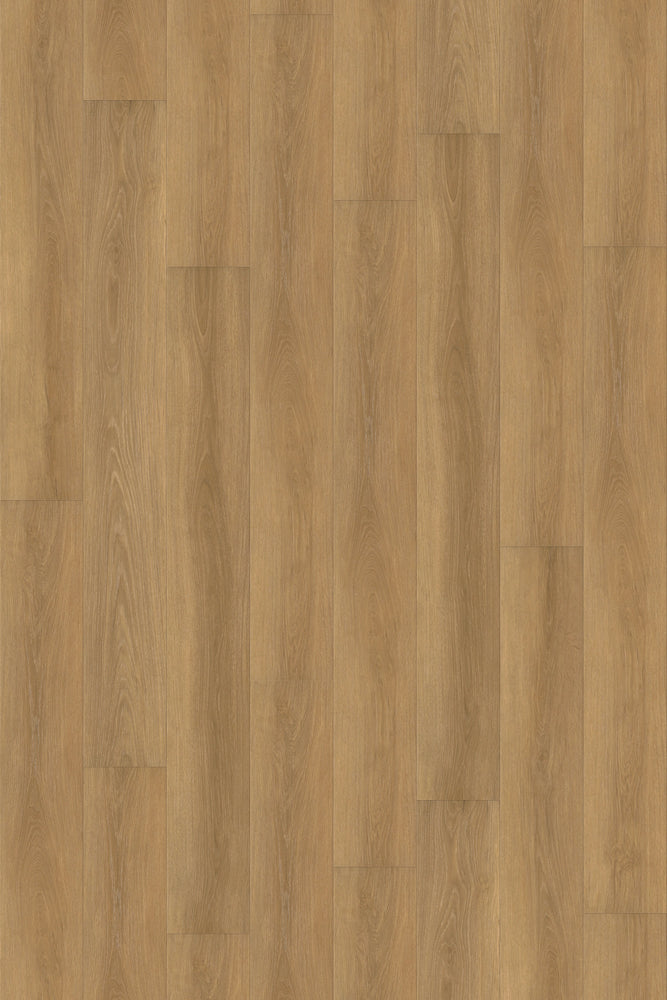 Comfort in Autumn Oak Luxury Vinyl by Canopy Floors 