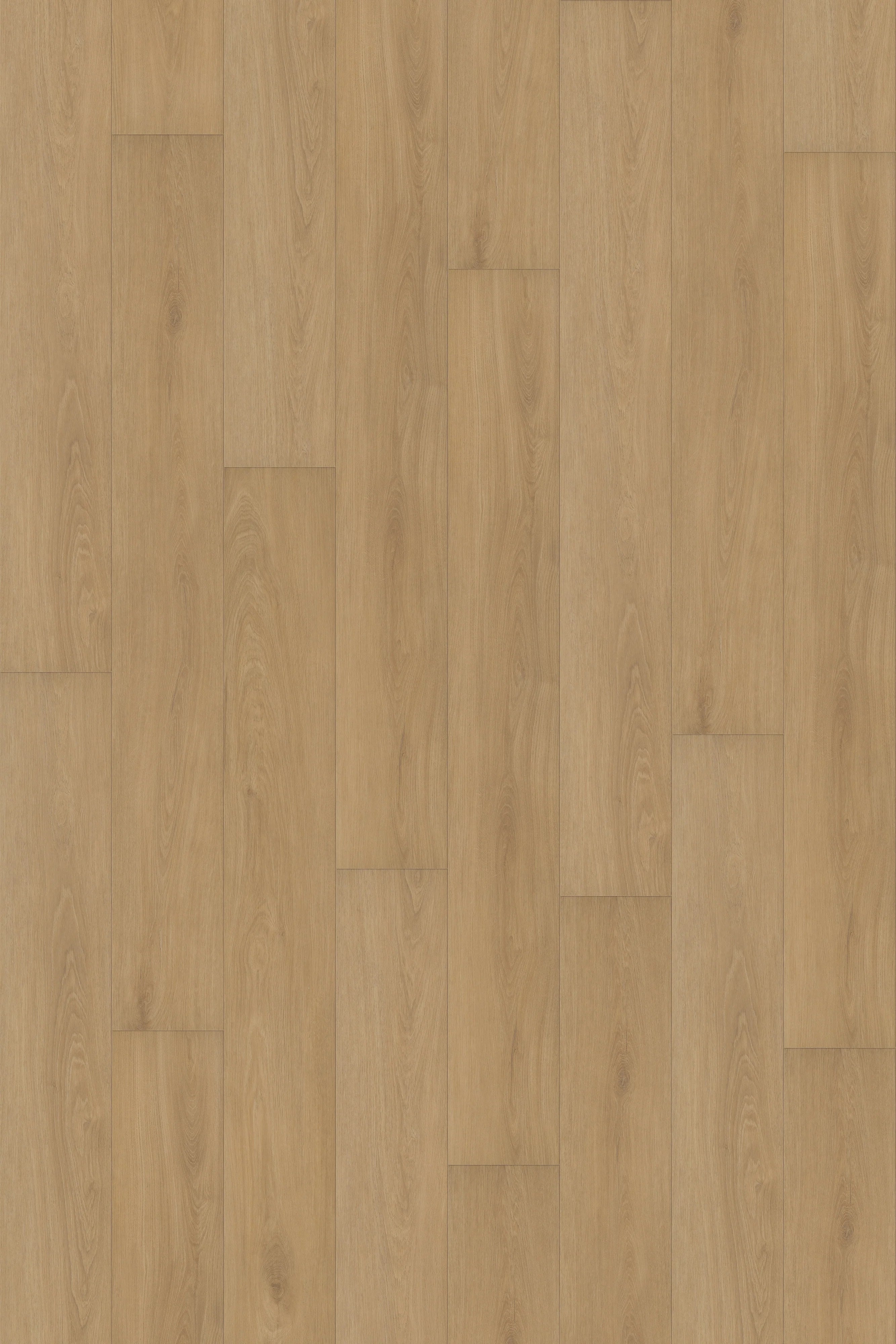 Comfort in Veranda Oak Luxury Vinyl by Canopy Floors 
