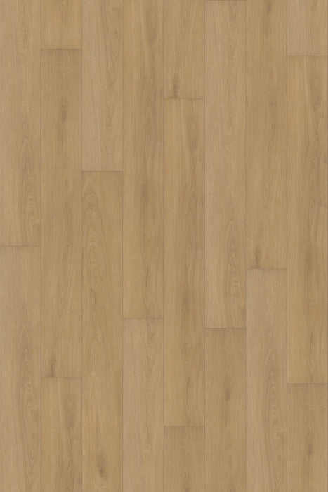 Comfort in Veranda Oak Luxury Vinyl by Canopy Floors