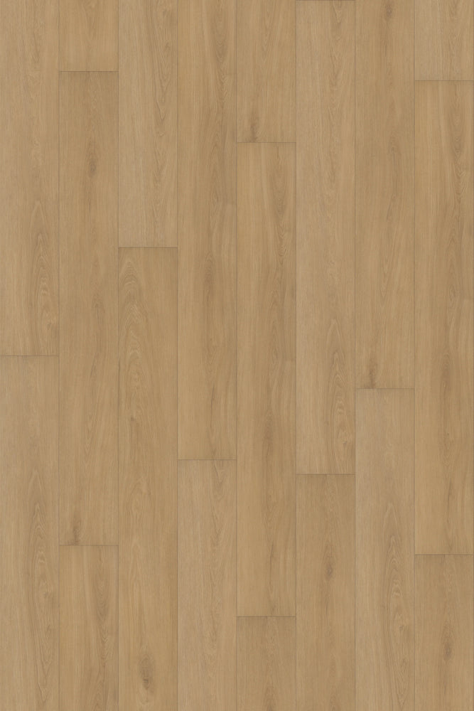 Comfort in Veranda Oak Luxury Vinyl by Canopy Floors 
