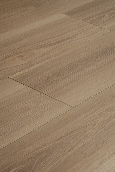 Latte Oak