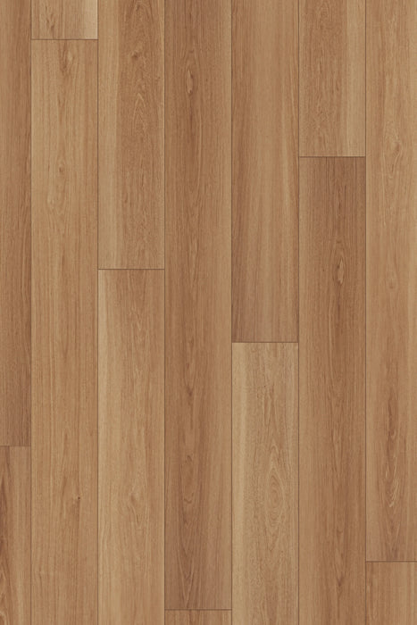 Comfort Premium in Harvest Oak Luxury Vinyl | Canopy Floors