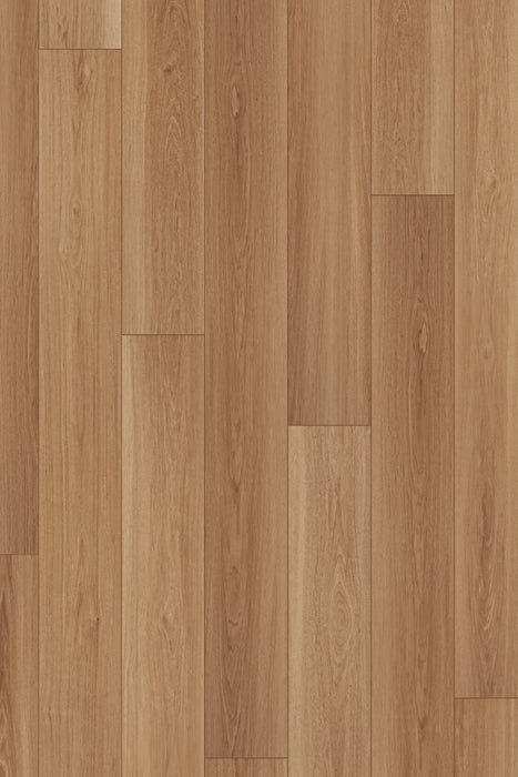 Comfort Premium in Harvest Oak Luxury Vinyl | Canopy Floors