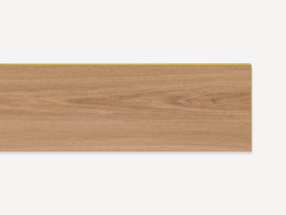 Saddle Oak
