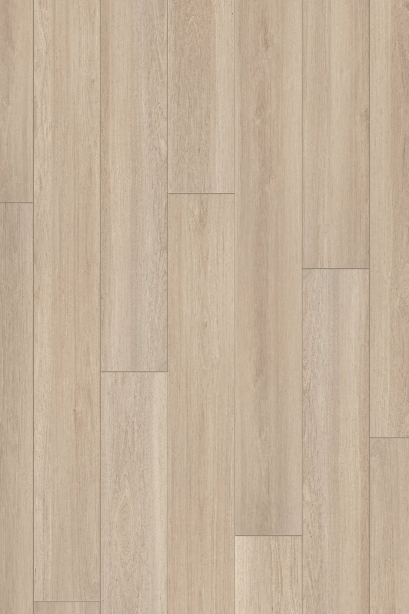 Neutral